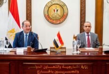 وزيرا-الخارجية-والمالية-يبحثان-سبل-دعم-التحرك-المصري-على-الصعيد-الاقتصادي